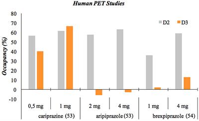 Reducing Addiction in Bipolar Disorder via Hacking the Dopaminergic System